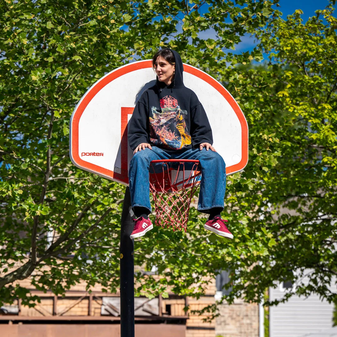etnies-locut-vulc-chaussures-skate-andy-anderson image 3