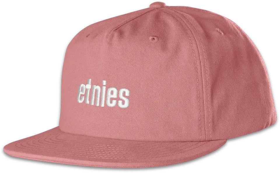 etnies-icon-embroidery-snapback-hat-casquette-pink image 1