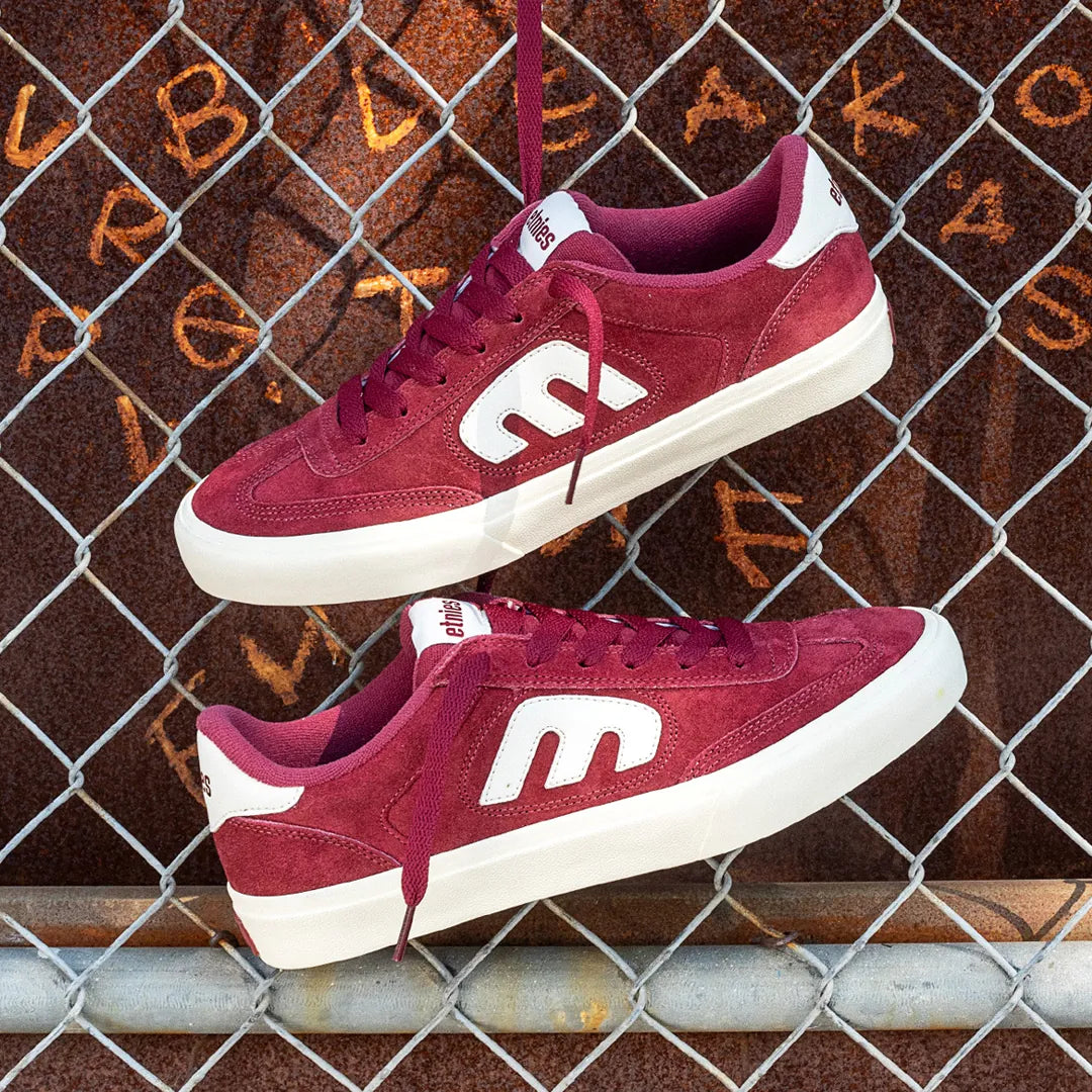 etnies-locut-vulc-chaussures-skate-andy-anderson image 8