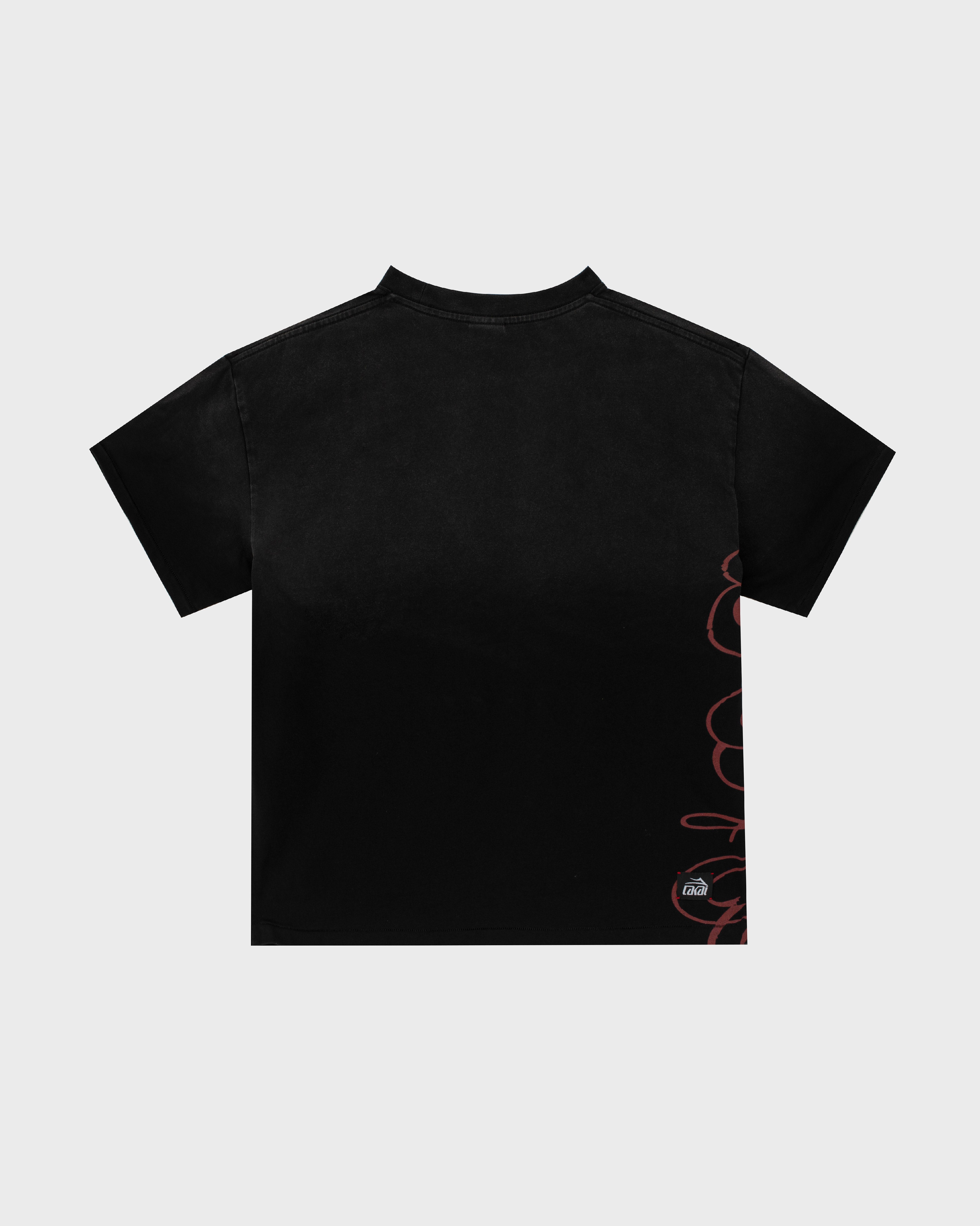 lakai-boxy-tee-signature-print-vintage-black image 2