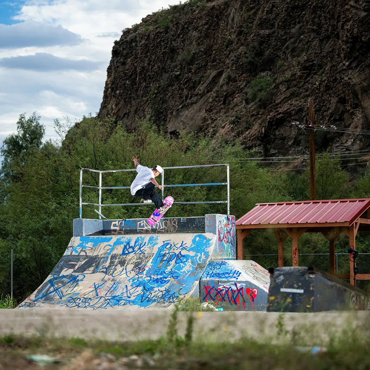 etnies-loot-x-apache-chaussures-skate-cuir image 2