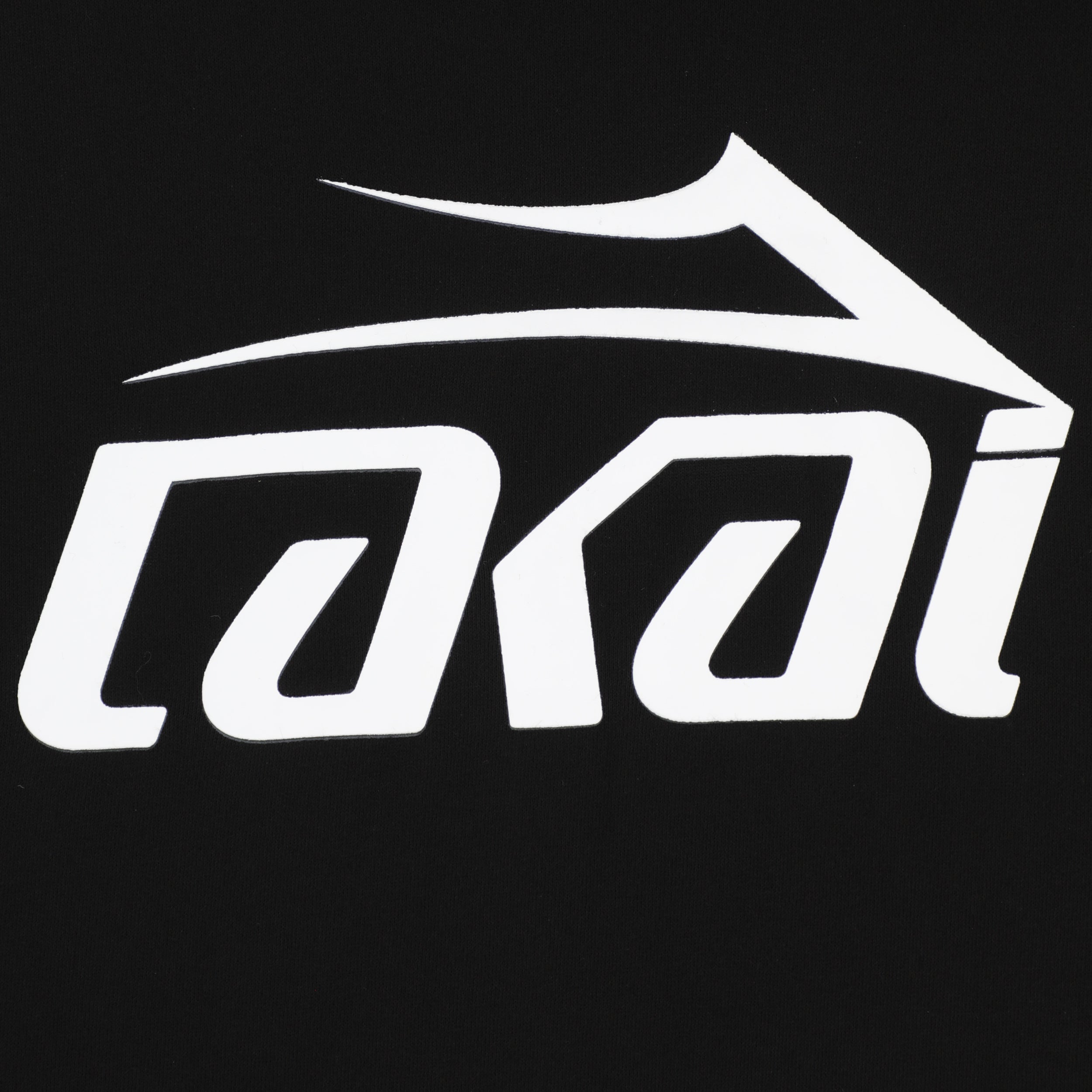 lakai-logo-sweat-capuche-pullover-noir image 2