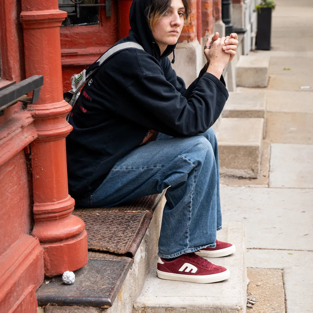 etnies-locut-vulc-chaussures-skate-andy-anderson image 4